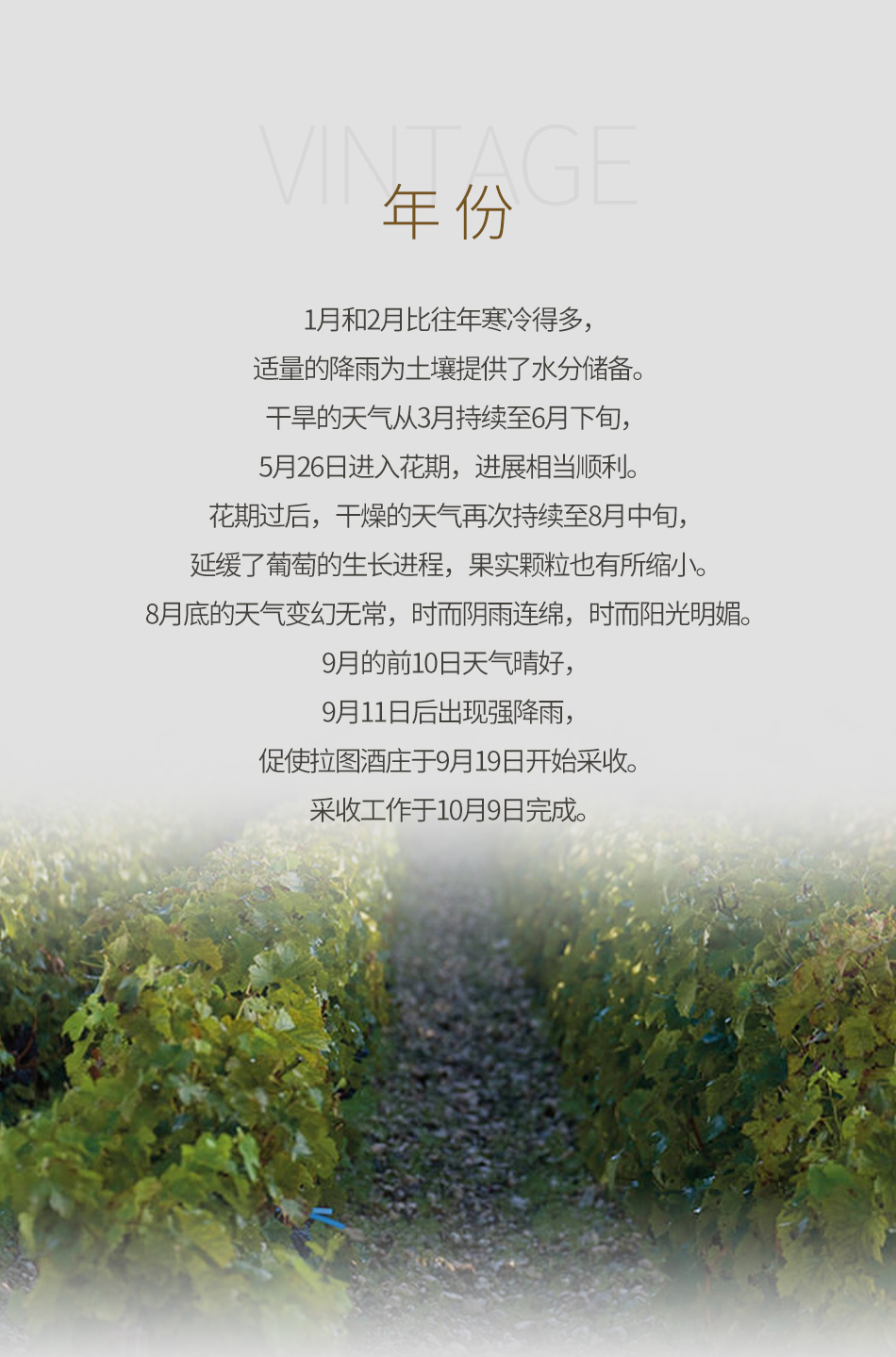 2006年拉图酒庄红葡萄酒 2006年拉图酒庄红葡萄酒